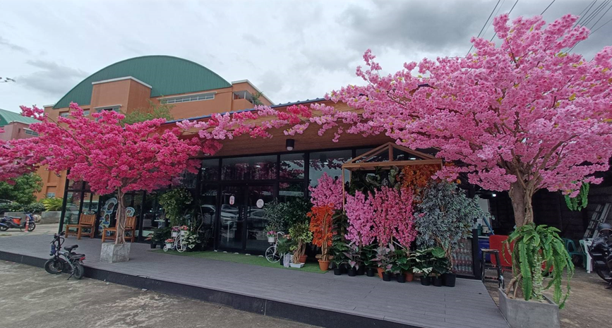 cafe 15
